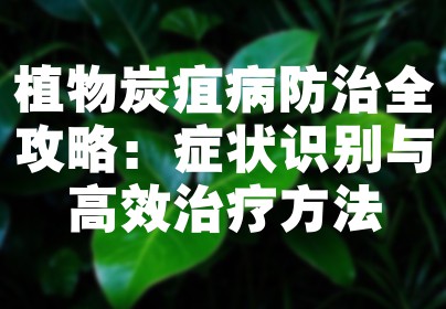 植物炭疽病防治全攻略：症状识别与高效治疗方法